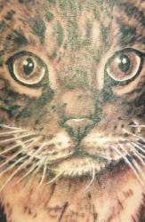 03e   Tiere   Tattoo Hamburg Skinworxx